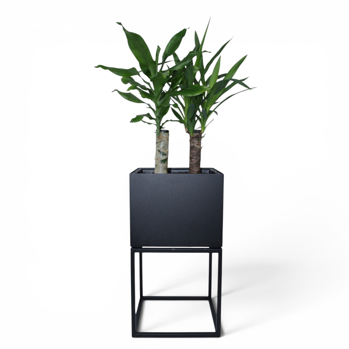 Donica Niska Loft — metalowa, czarny mat | Fenos