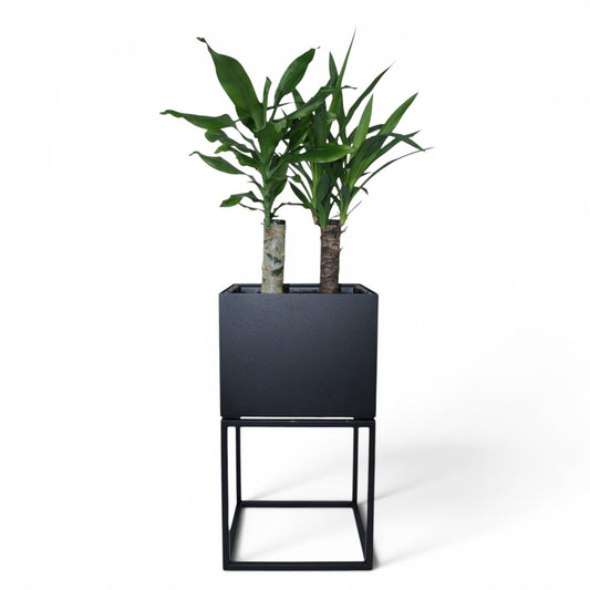 Donica Niska Loft — metalowa, czarny mat | Fenos